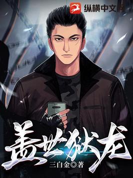 盖世医仙小说